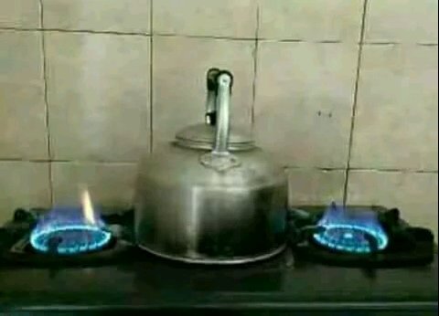 Deretan pengumuman absurd yang ada di pohon ini bikin ngakak seharian